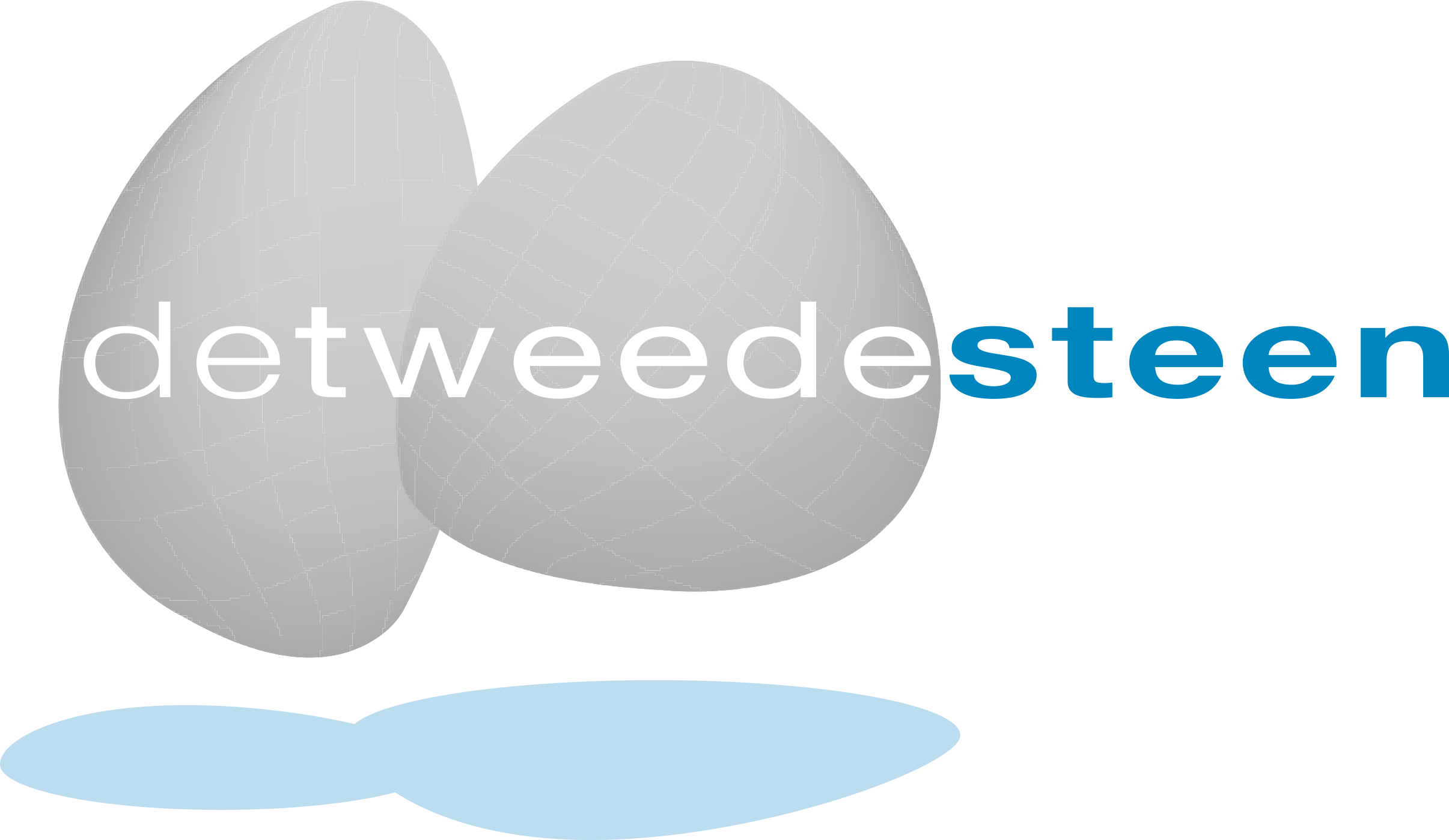logo steen kleur